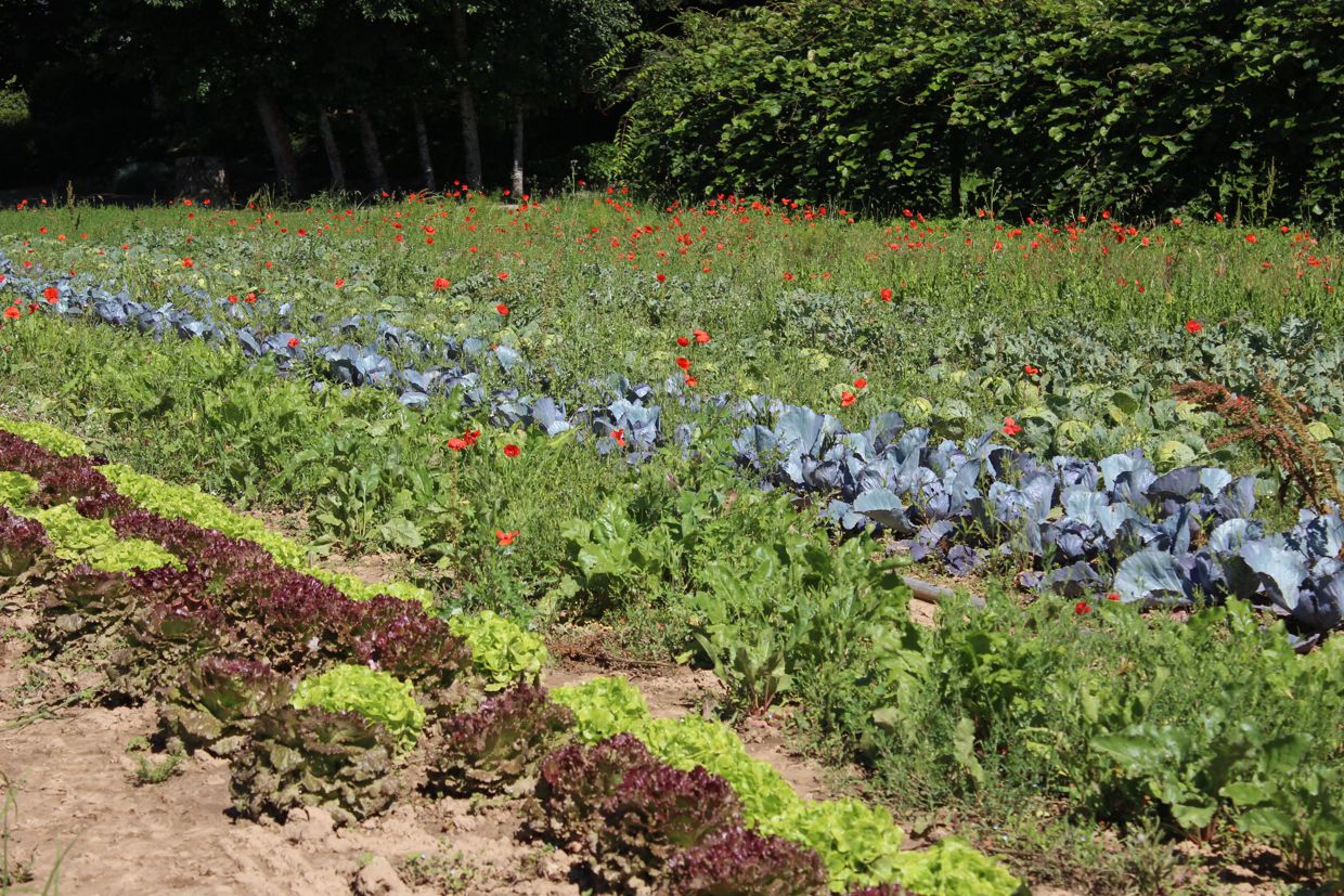 Bannière de TEST François